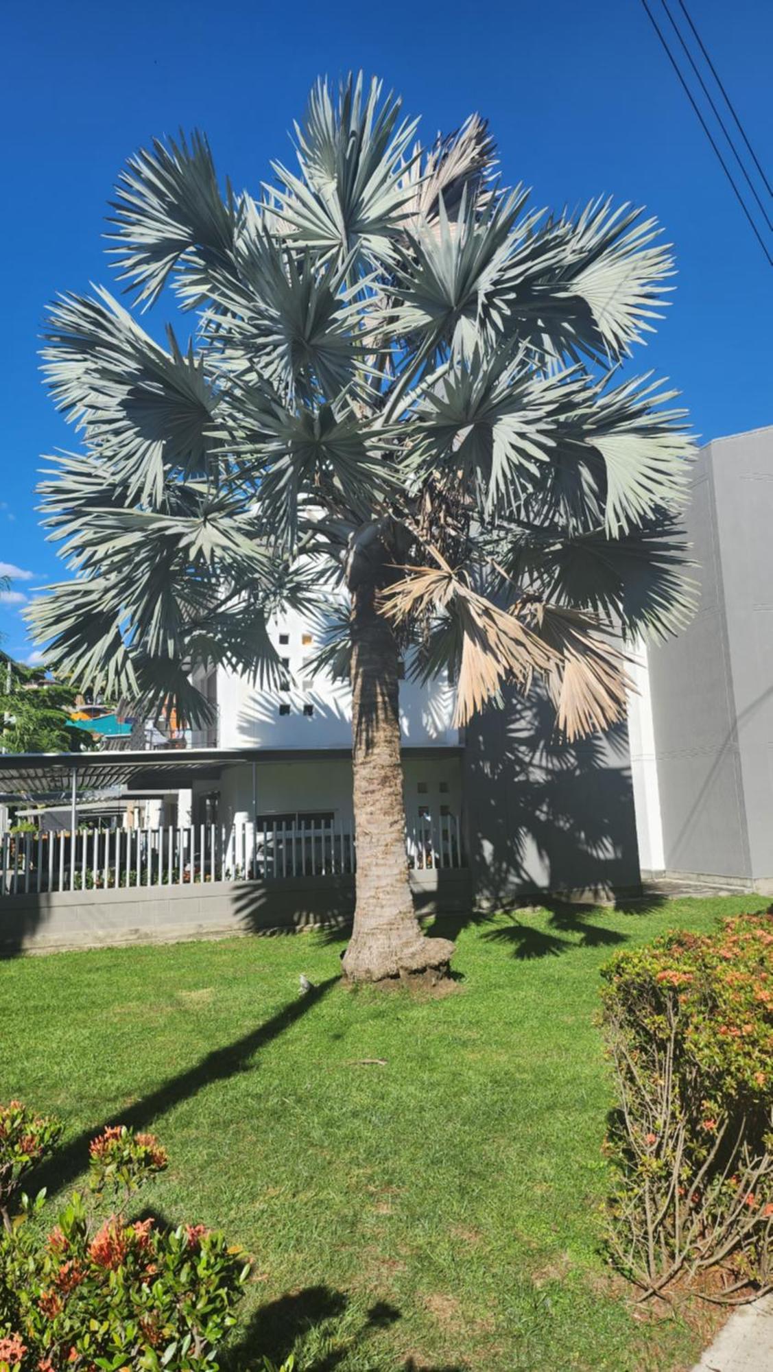 Apartasol Club Ciudadela Santa Fe - סנטה פה דה אנטיוקיה מראה חיצוני תמונה